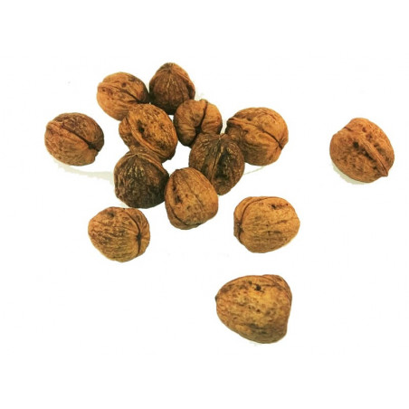 Nueces de Crespià 1kg