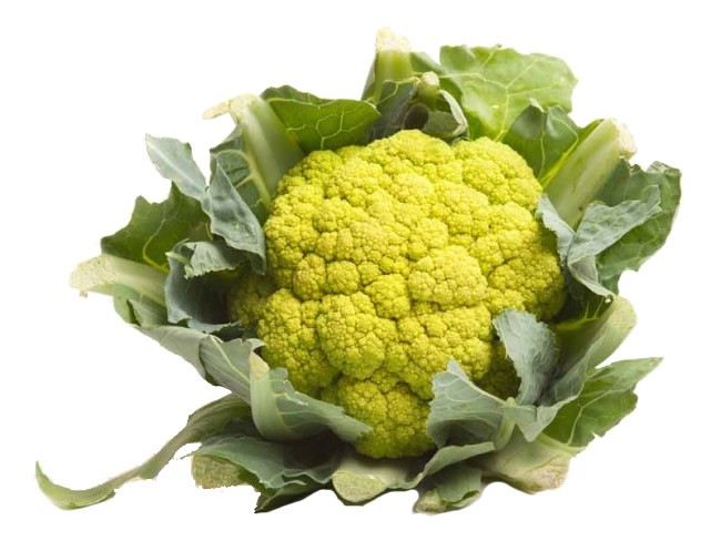 Chou Fleur Vert Des Vergers Catalans La Botiga De Fortia